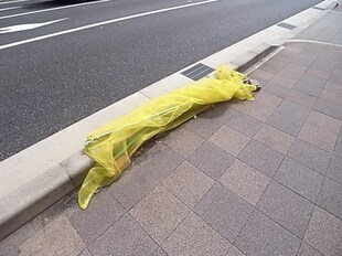 クリスタルカーサIIの物件内観写真